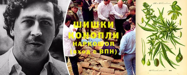 Альфа ПВП Белокуриха